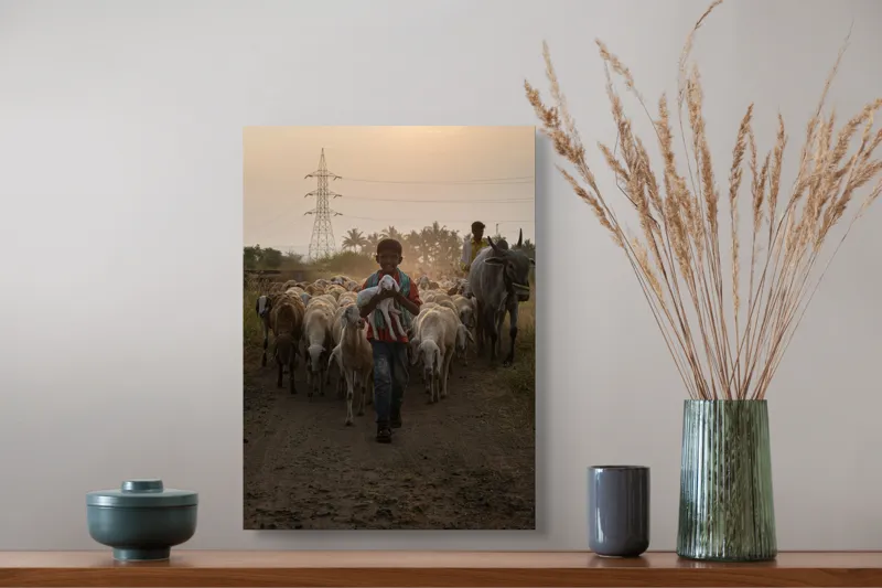 Tablou Canvas, "Băiat cu oi și vițel la asfințit", Băiat, Turmă, Oi, Apus, Drumeag, Iarbă, Bivol, Copaci, Zâmbet, Rural, 39 x 54 cm – poza 3