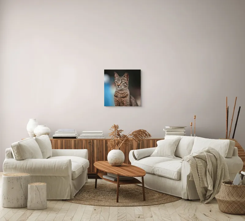 Tablou Canvas, "Pisica misterioasă privește departe", Pisică, Tigrată, Eleganță, Privire, Blană, Vibrantă, Postură, Calmă, 50 x 50 cm – poza 7