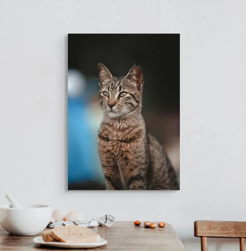 Tablou Canvas, "Pisica misterioasă privește departe", Pisică, Tigrată, Eleganță, Privire, Blană, Vibrantă, Postură, Calmă, 50 x 70 cm – poza 3