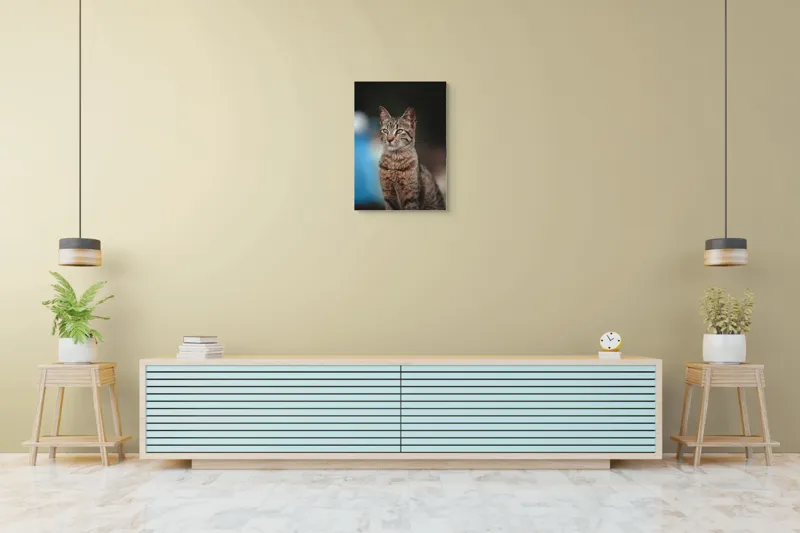 Tablou Canvas, "Pisica misterioasă privește departe", Pisică, Tigrată, Eleganță, Privire, Blană, Vibrantă, Postură, Calmă, 50 x 70 cm – poza 6