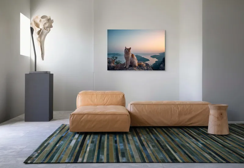 Tablou Canvas, "Pisică visătoare la apusul mării", Pisică, Apus, Munte, Mare, Peisaj, Cer, Relaxare, Natură, 100 x 70 cm – poza 7