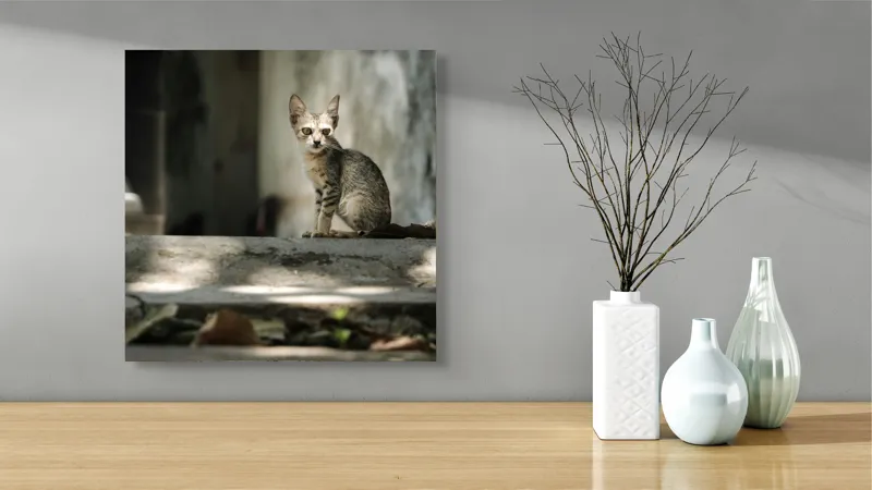 Tablou Canvas, "Pisoiul solitar în lumina blândă", Pisoi, Singuratic, Uitat, Umbre, Frunze, Desiș, Curiozitate, Blândețe, 50 x 50 cm – poza 3