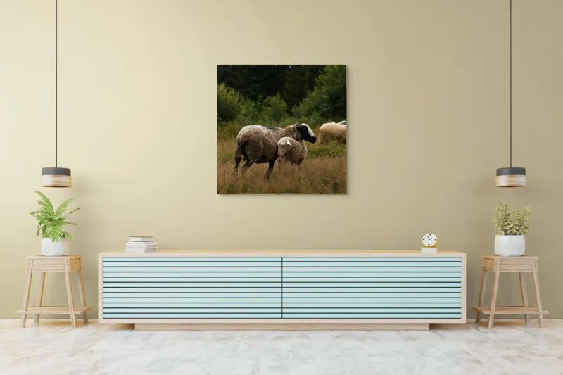 Tablou Canvas, "Mielul la umbra unei ovine", Oaie, Miel, Pășune, Iarbă, Copaci, Natură, Peisaj, Animale, 100 x 100 cm – poza 5