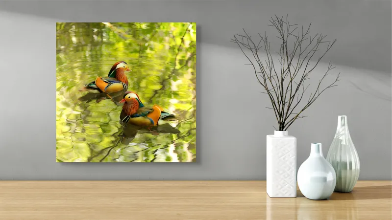 Tablou Canvas, "Mandarine oglindite pe apă liniștită", Mandarina, Apă, Verdeață, Reflecție, Plutire, Natură, Serenitate, Culoare, Păsări, Linie., 50 x 50 cm – poza 3