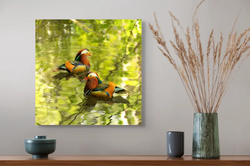 Tablou Canvas, "Mandarine oglindite pe apă liniștită", Mandarina, Apă, Verdeață, Reflecție, Plutire, Natură, Serenitate, Culoare, Păsări, Linie., 50 x 50 cm – poza 4