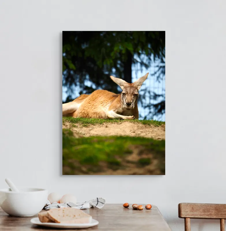 Tablou Canvas, "Kangur relaxându-se pe colină verde", Cangur, Relaxat, Iarbă, Blană, Urechi, Odihnă, Natură, Vegetație, Cer, Lumina, Peisaj, Tranquilitate, 50 x 70 cm – poza 3