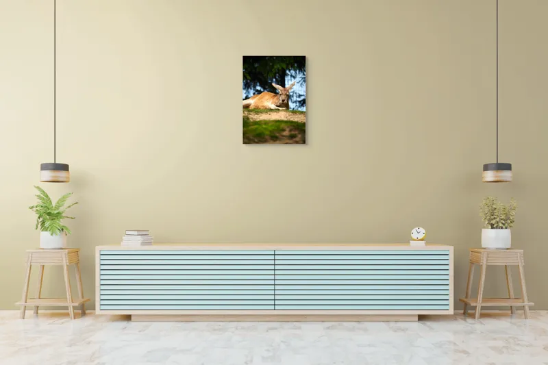 Tablou Canvas, "Kangur relaxându-se pe colină verde", Cangur, Relaxat, Iarbă, Blană, Urechi, Odihnă, Natură, Vegetație, Cer, Lumina, Peisaj, Tranquilitate, 50 x 70 cm – poza 6