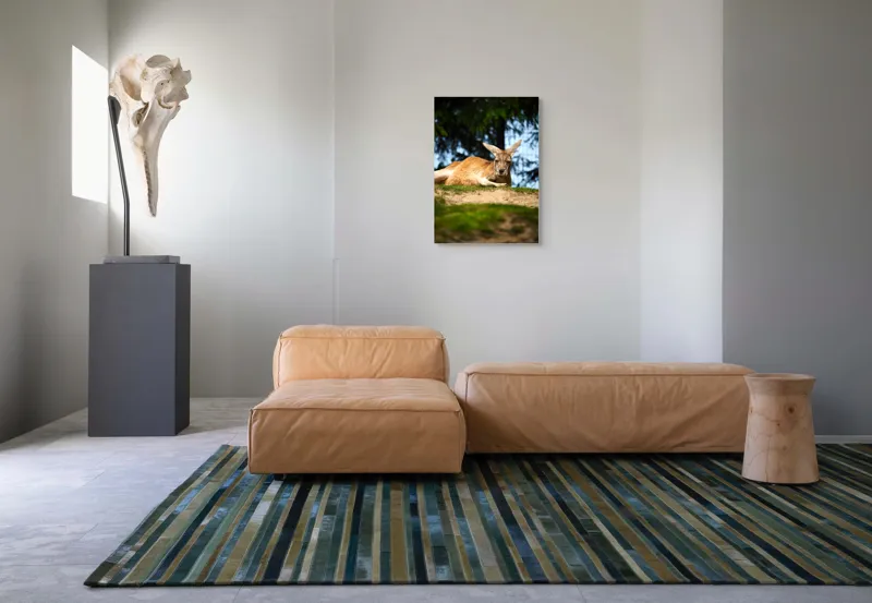 Tablou Canvas, "Kangur relaxându-se pe colină verde", Cangur, Relaxat, Iarbă, Blană, Urechi, Odihnă, Natură, Vegetație, Cer, Lumina, Peisaj, Tranquilitate, 50 x 70 cm – poza 7