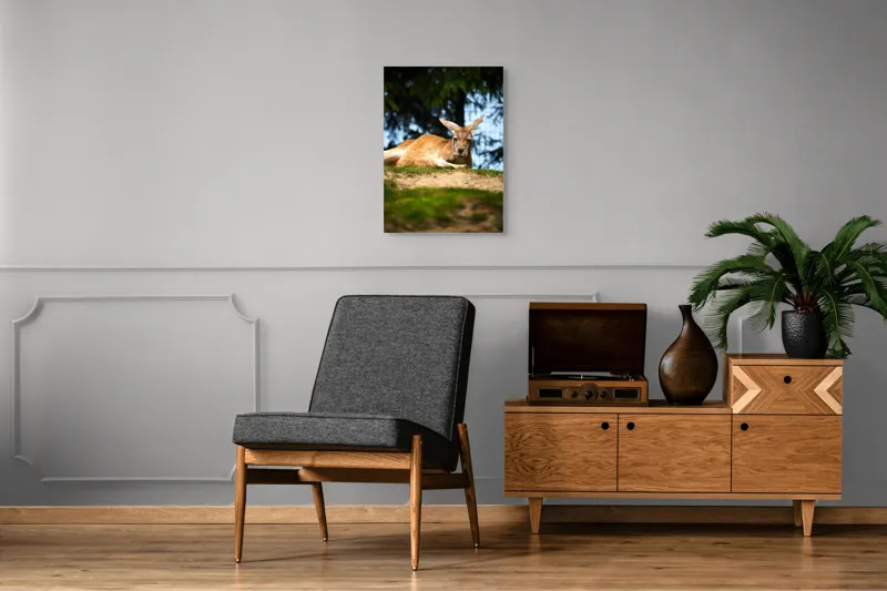 Tablou Canvas, "Kangur relaxându-se pe colină verde", Cangur, Relaxat, Iarbă, Blană, Urechi, Odihnă, Natură, Vegetație, Cer, Lumina, Peisaj, Tranquilitate, 50 x 70 cm – poza 8