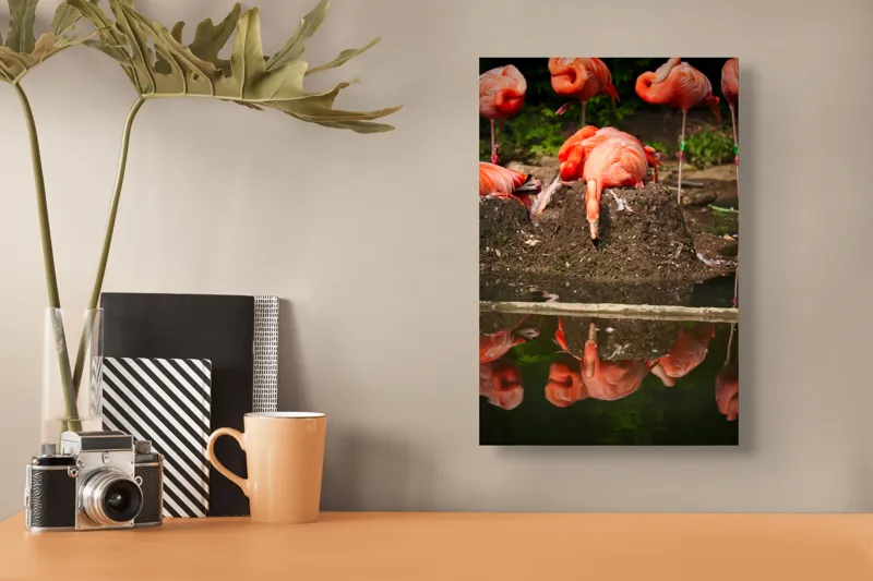 Tablou Canvas, "Flamingo adormit la marginea apei", Roz, Flamingo, Reflecție, Apă, Natură, Odihnă, Penaj, Exotism, Grup, Tranquilitate, 26 x 39 cm – poza 3