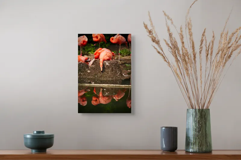 Tablou Canvas, "Flamingo adormit la marginea apei", Roz, Flamingo, Reflecție, Apă, Natură, Odihnă, Penaj, Exotism, Grup, Tranquilitate, 26 x 39 cm – poza 5