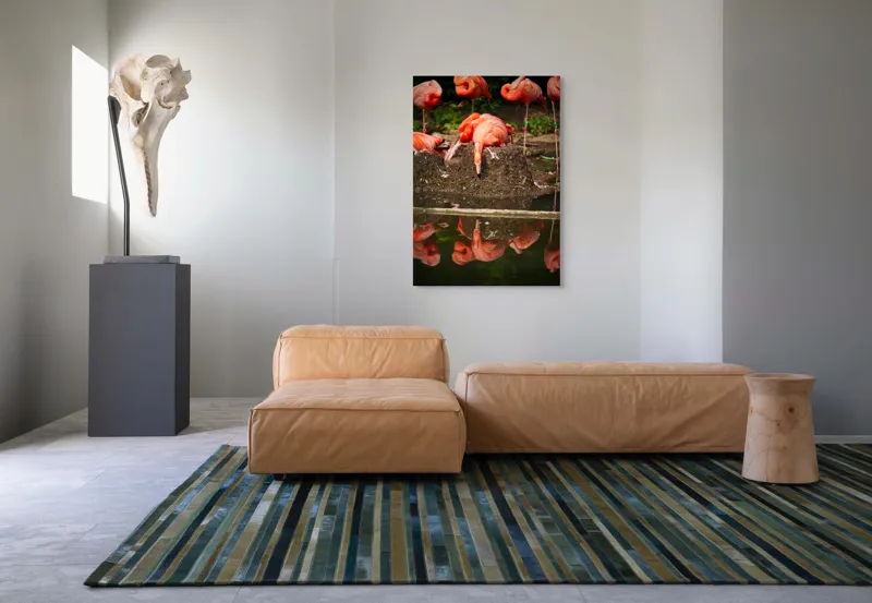 Tablou Canvas, "Flamingo adormit la marginea apei", Roz, Flamingo, Reflecție, Apă, Natură, Odihnă, Penaj, Exotism, Grup, Tranquilitate, 70 x 100 cm – poza 7