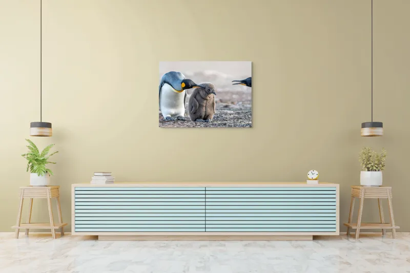 Tablou Canvas, "Pinguinul mic în mijlocul familiei", Pinguini, Familie, Apropiere, Căldură, Grijă, Pui, Afecțiune, 100 x 70 cm – poza 4