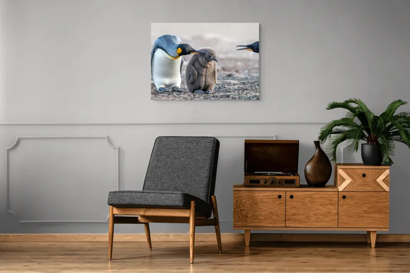 Tablou Canvas, "Pinguinul mic în mijlocul familiei", Pinguini, Familie, Apropiere, Căldură, Grijă, Pui, Afecțiune, 100 x 70 cm – poza 8