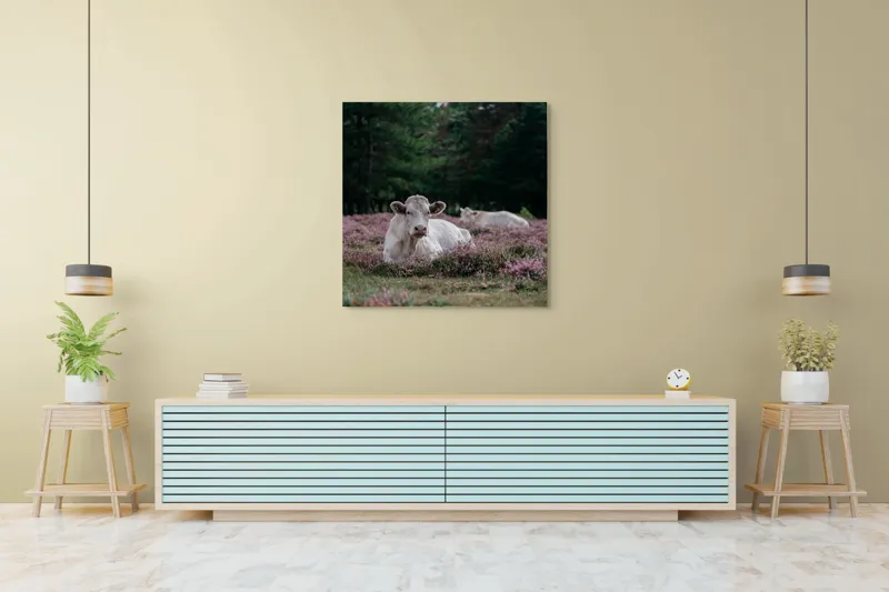 Tablou Canvas, "Vaci odihnindu-se pe lunci movii", Vacă, Plante, Pajiște, Natură, Relaxare, Copaci, Verde, Roz, Cer, Tranquilitate, 100 x 100 cm – poza 5