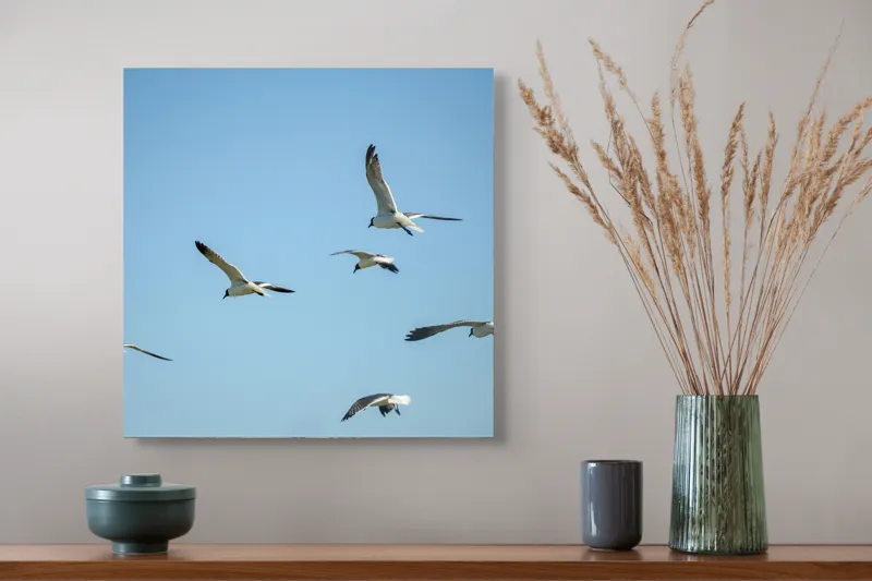 Tablou Canvas, "Zborul liber al pescărușilor în cer", Păsări, Cer, Albastru, Zbor, Aripi, Lumină, Libertate, 50 x 50 cm – poza 4
