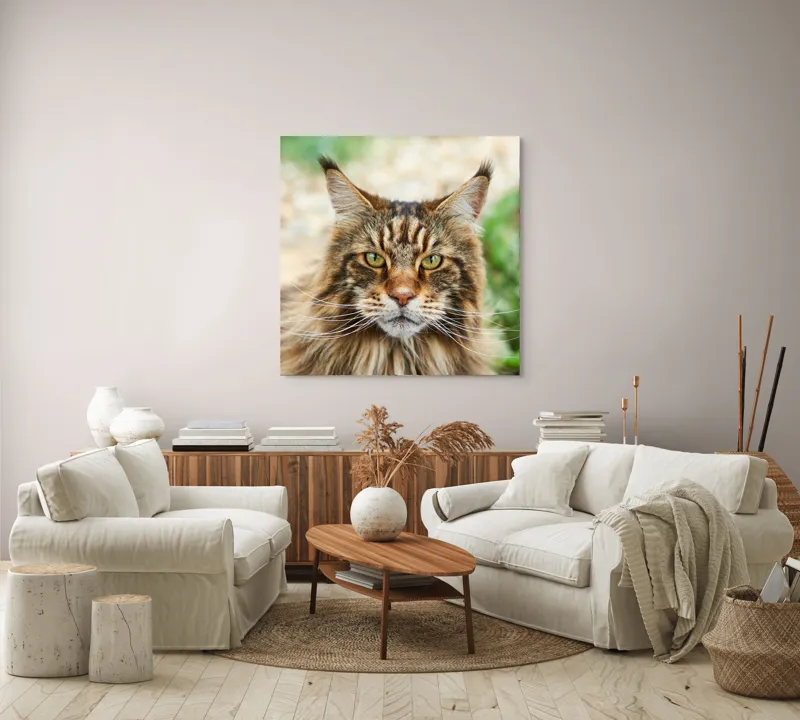 Tablou Canvas, "Pisică regală între fire verzi", 100 x 100 cm – poza 3
