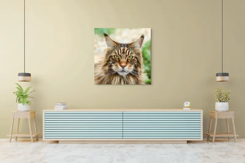Tablou Canvas, "Pisică regală între fire verzi", 100 x 100 cm – poza 5
