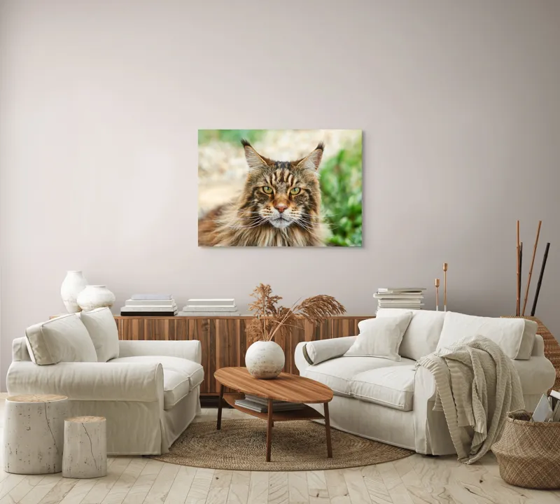Tablou Canvas, "Pisică regală între fire verzi", 100 x 70 cm – poza 3