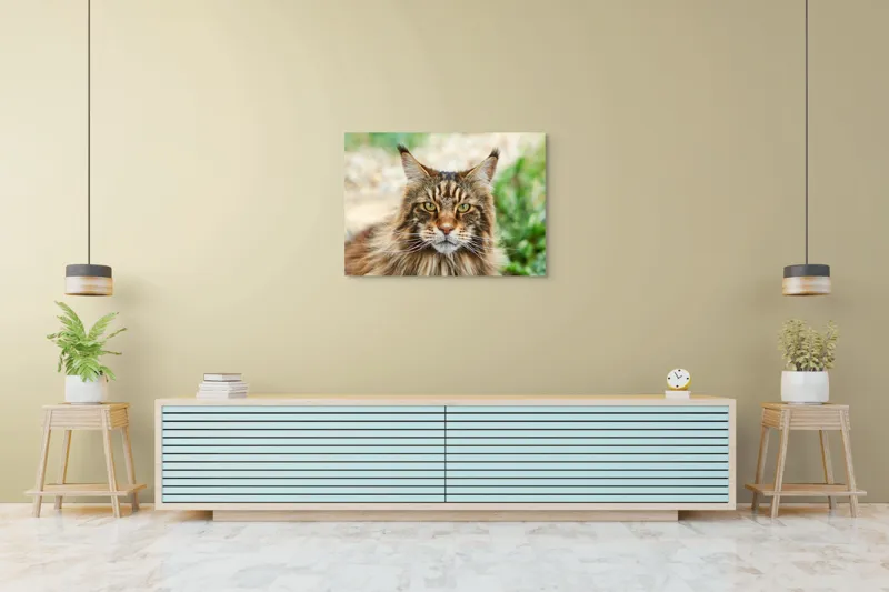 Tablou Canvas, "Pisică regală între fire verzi", 100 x 70 cm – poza 4