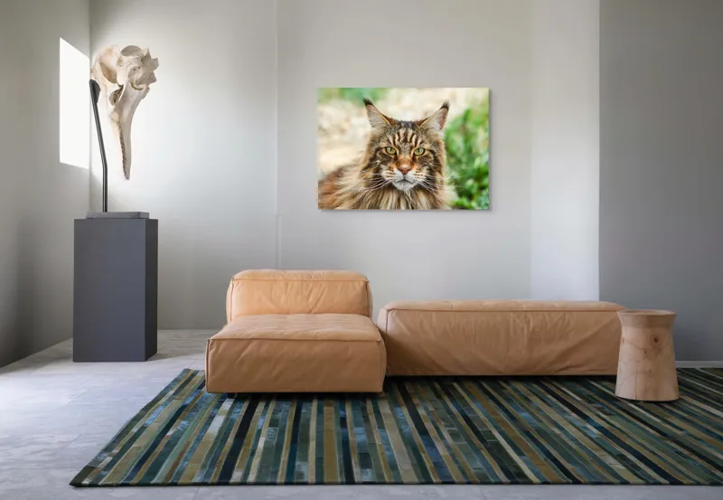 Tablou Canvas, "Pisică regală între fire verzi", 100 x 70 cm – poza 7