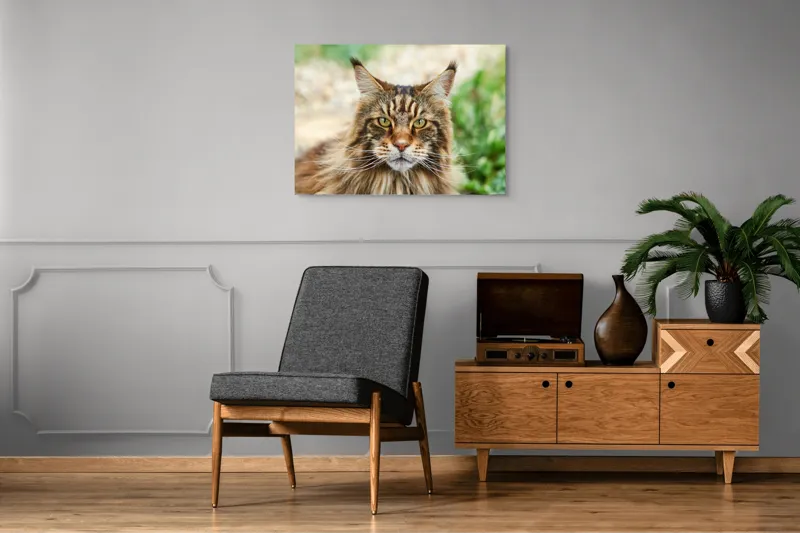 Tablou Canvas, "Pisică regală între fire verzi", 100 x 70 cm – poza 8