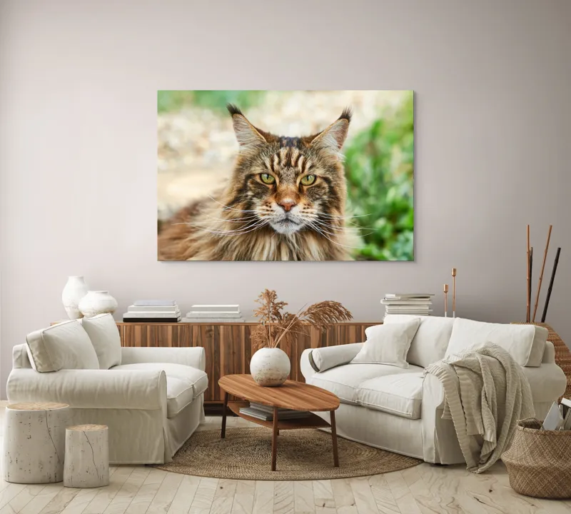 Tablou Canvas, "Pisică regală între fire verzi", 150 x 100 cm – poza 3