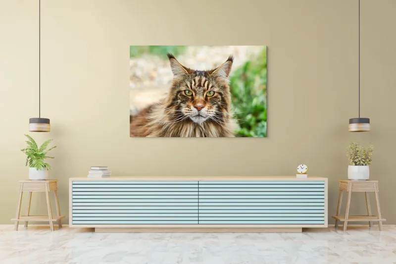Tablou Canvas, "Pisică regală între fire verzi", 150 x 100 cm – poza 6
