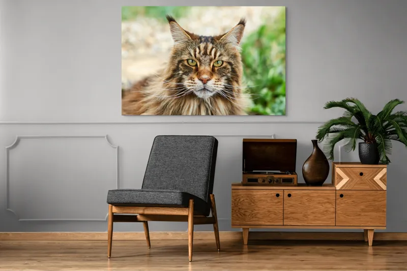 Tablou Canvas, "Pisică regală între fire verzi", 150 x 100 cm – poza 8