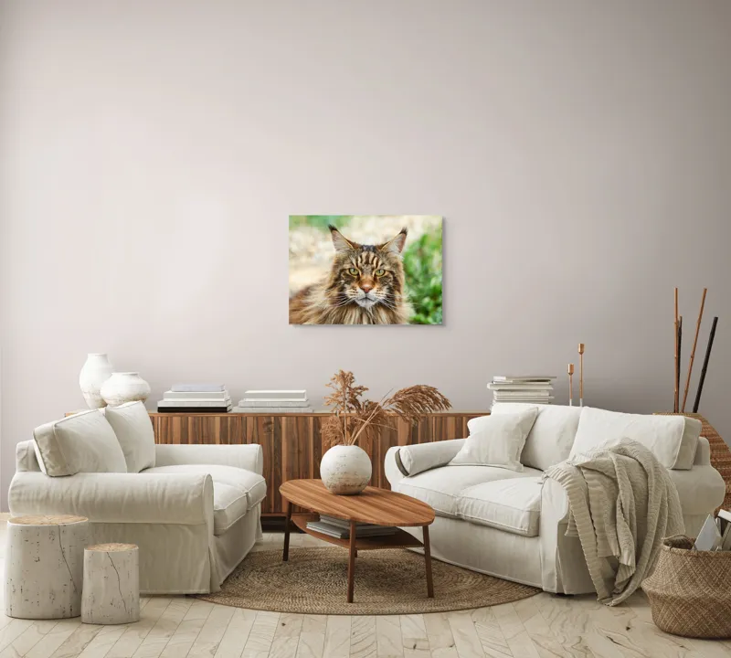 Tablou Canvas, "Pisică regală între fire verzi", 70 x 50 cm – poza 6