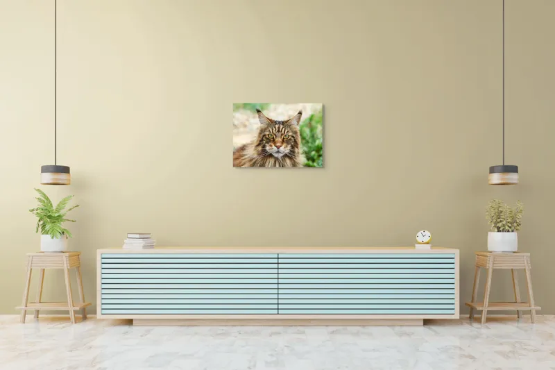 Tablou Canvas, "Pisică regală între fire verzi", 70 x 50 cm – poza 7
