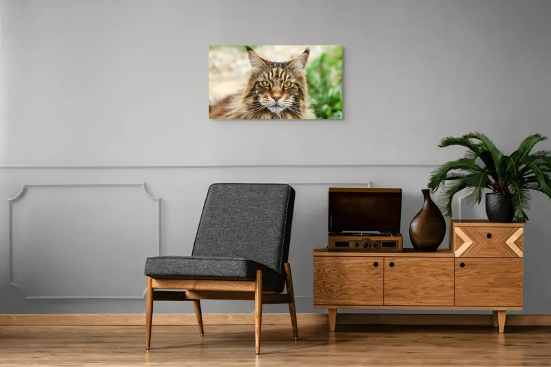 Tablou Canvas, "Pisică regală între fire verzi", 90 x 50 cm – poza 6