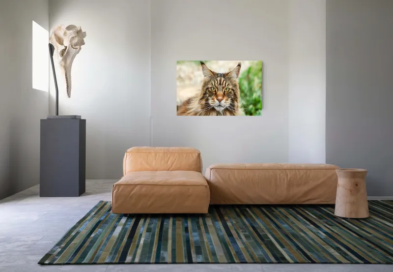 Tablou Canvas, "Pisică regală între fire verzi", 90 x 50 cm – poza 8