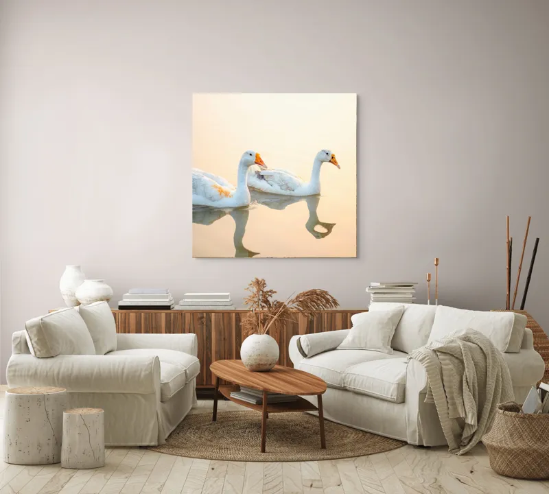 Tablou Canvas, "Lebede alunecând pe oglinda apei", Rațe, Apă, Reflecție, Apus, Liniște, Serenitate, Natură, Paznicie, 100 x 100 cm – poza 3