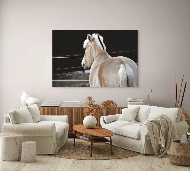 Tablou Canvas, "Privirea calului spre orizont", Cal, Blondețea, Gard, Blândețe, Natural, Fermoar, Zare, Eleganță, 150 x 100 cm – poza 3