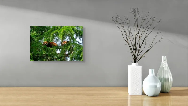 Tablou Canvas, "Panda roșu ascuns în copaci verzi", Nu pot spune cine sunt animalele din imagine, dar par a fi doi panda roșii într-un copac., 39 x 26 cm – poza 8