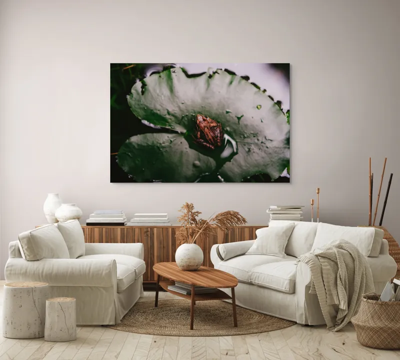 Tablou Canvas, "Broasca pe frunza de lotus verde", Broască, Lilioac, Apă, Frunze, Natură, 150 x 100 cm – poza 3