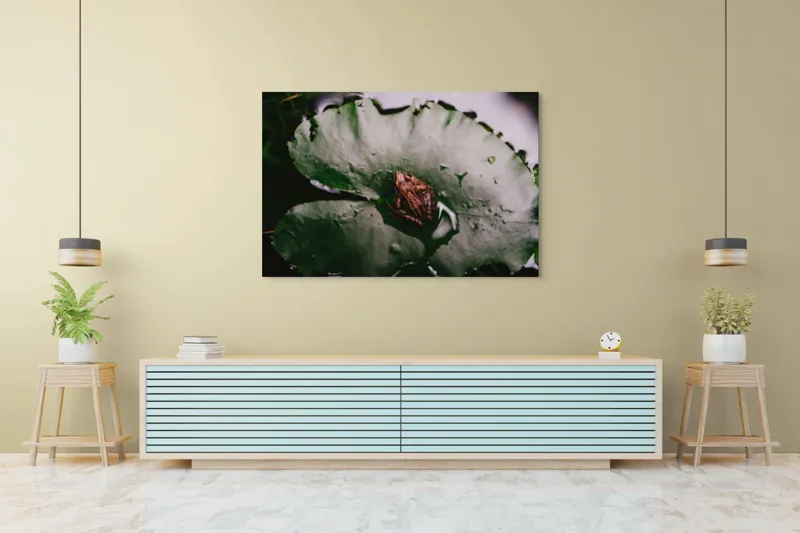 Tablou Canvas, "Broasca pe frunza de lotus verde", Broască, Lilioac, Apă, Frunze, Natură, 150 x 100 cm – poza 6