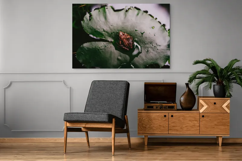 Tablou Canvas, "Broasca pe frunza de lotus verde", Broască, Lilioac, Apă, Frunze, Natură, 150 x 100 cm – poza 8