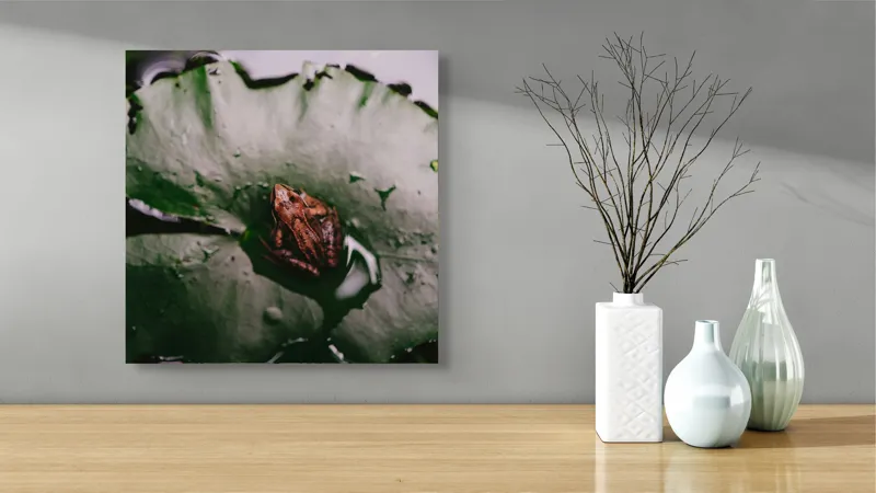 Tablou Canvas, "Broasca pe frunza de lotus verde", Broască, Lilioac, Apă, Frunze, Natură, 50 x 50 cm – poza 3