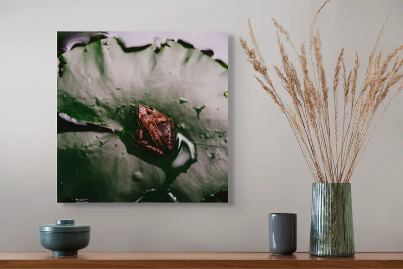 Tablou Canvas, "Broasca pe frunza de lotus verde", Broască, Lilioac, Apă, Frunze, Natură, 50 x 50 cm – poza 4