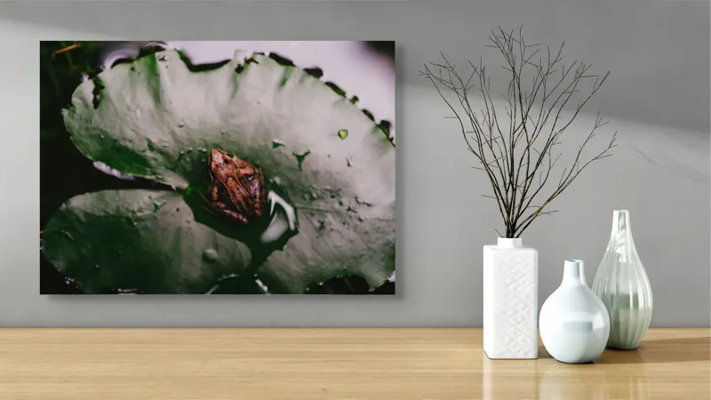 Tablou Canvas, "Broasca pe frunza de lotus verde", Broască, Lilioac, Apă, Frunze, Natură, 70 x 50 cm – poza 3