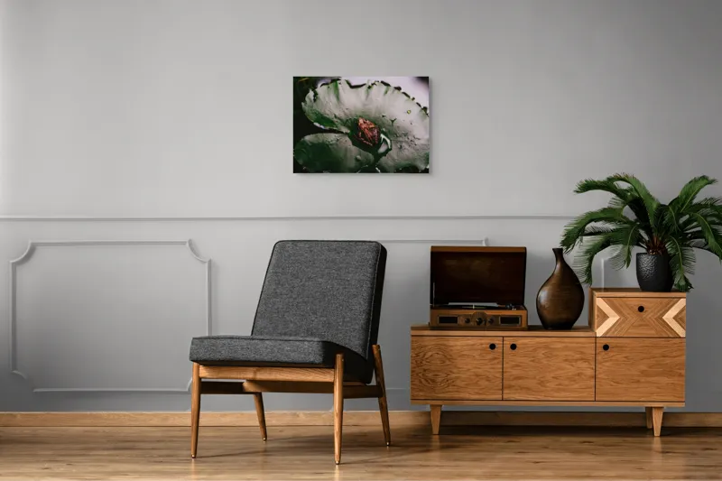 Tablou Canvas, "Broasca pe frunza de lotus verde", Broască, Lilioac, Apă, Frunze, Natură, 70 x 50 cm – poza 4