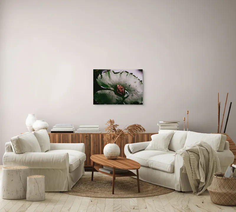 Tablou Canvas, "Broasca pe frunza de lotus verde", Broască, Lilioac, Apă, Frunze, Natură, 70 x 50 cm – poza 6