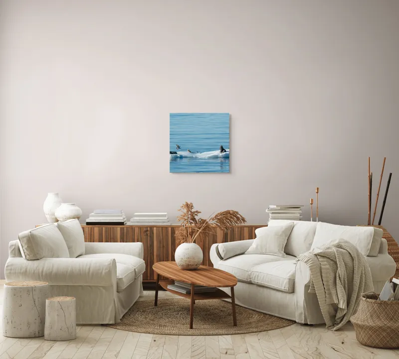 Tablou Canvas, "Focile și păsările pe banchiză albă", Focă, Gheață, Ocean, Păsări, Albastru, Natură, Odihnă, Habitat., 50 x 50 cm – poza 7