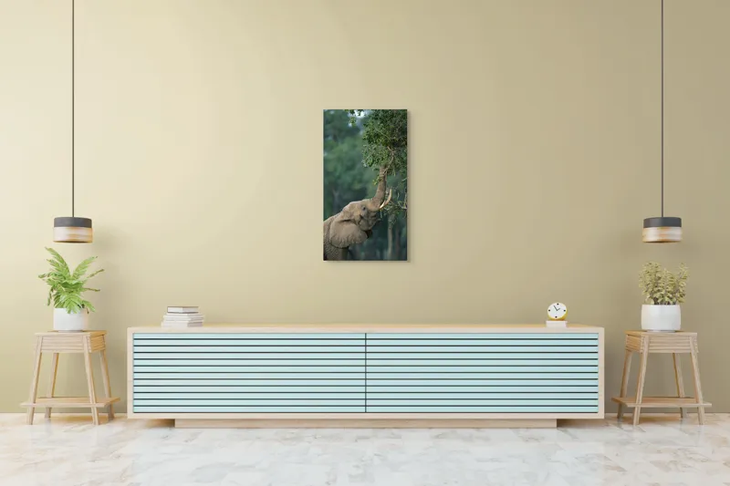 Tablou Canvas, "Elefant mâncând frunze din copac", Elefant, Trompă, Frunze, Arbori, Natură, Copac, Fildeș, Savanna, 50 x 90 cm – poza 6