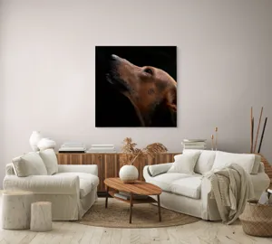 Tablou Canvas, "Câinele privind spre cer întunecat", 100 x 100 cm – poza 3