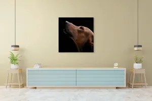 Tablou Canvas, "Câinele privind spre cer întunecat", 100 x 100 cm – poza 5