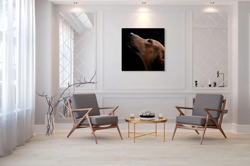 Tablou Canvas, "Câinele privind spre cer întunecat", 100 x 100 cm – poza 7