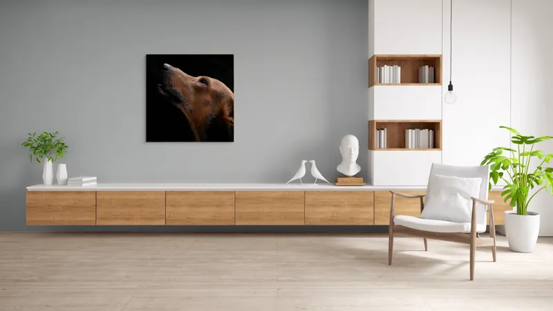 Tablou Canvas, "Câinele privind spre cer întunecat", 100 x 100 cm – poza 8